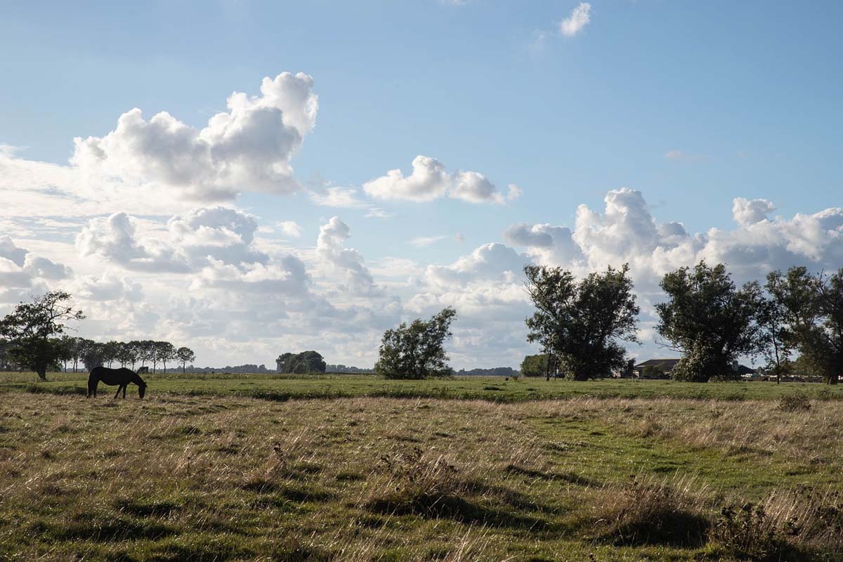 Friesland Campingplatz-Impression